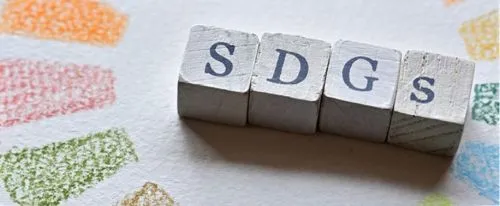 Leading SDGs Lawyer in Tokyo, Japan | Expert Legal Support for Sustainable Development Goals