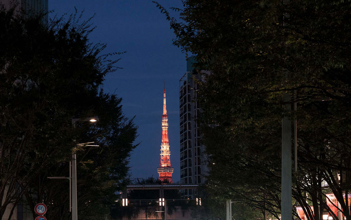 Foreign Investment in Japan